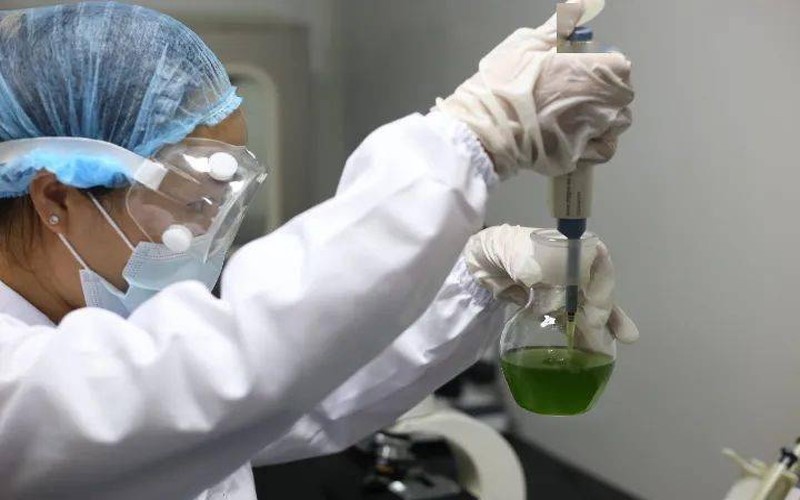 Best Chlorella Tabets Supplements Best Chlorella Tabets Supplements